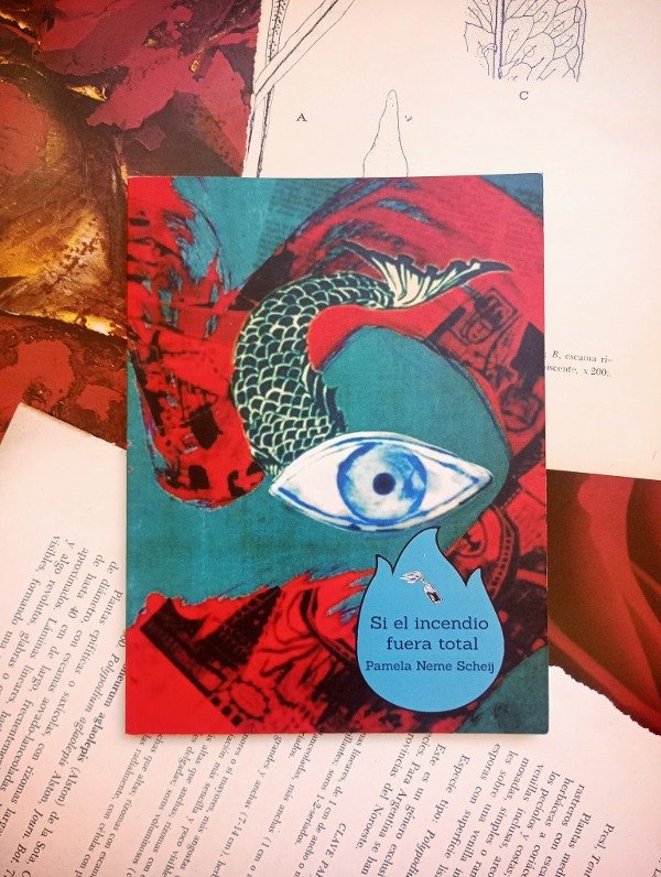 Producto - SI EL INCENDIO FUERA TOTAL de Pamela Neme Scheij