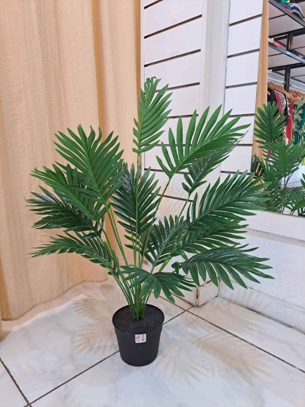 Producto - PALMERA BAJA CON MACETA