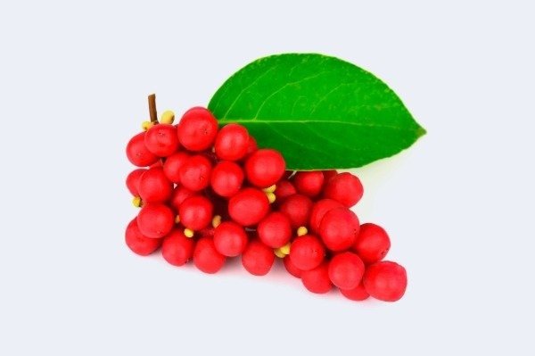 Producto - Semillas De Schisandra Chinensis Trepadora De 5 Sabores - 0