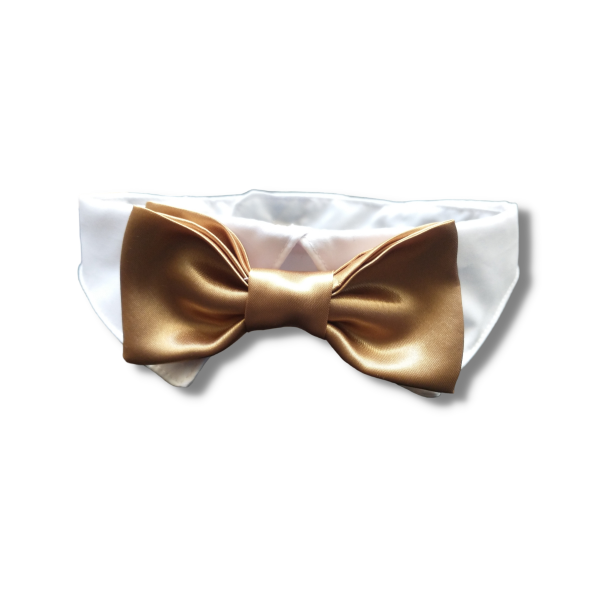 Producto - Cuello y Moño Burgues Dorado