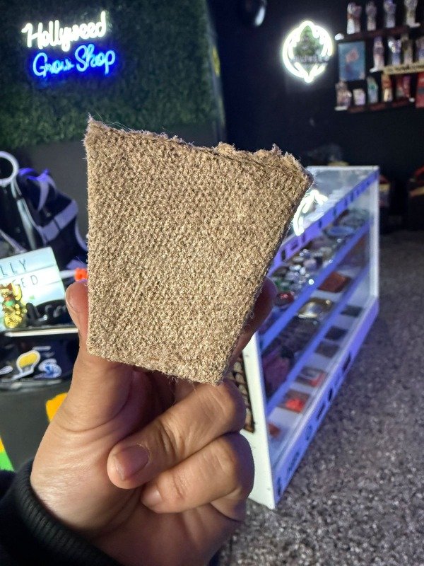 Producto - JIFFY POT - MACETA ECOLOGICA PARA GERMINACION - BIODEGRADABLE Y PRACTICA