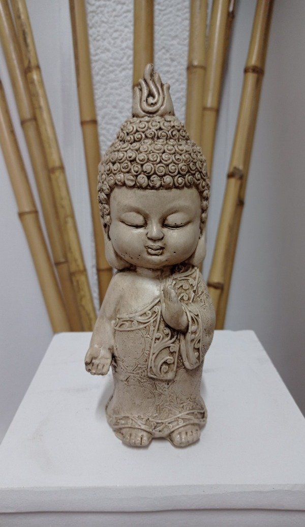 Producto - Buda de la protección