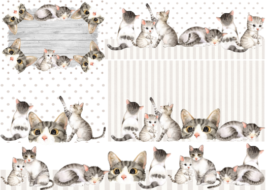 Producto - PETS 7