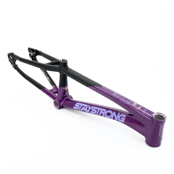 Producto - CUADRO Stay Strong For Life V5 Disc Alloy BMX Race E790 - 2