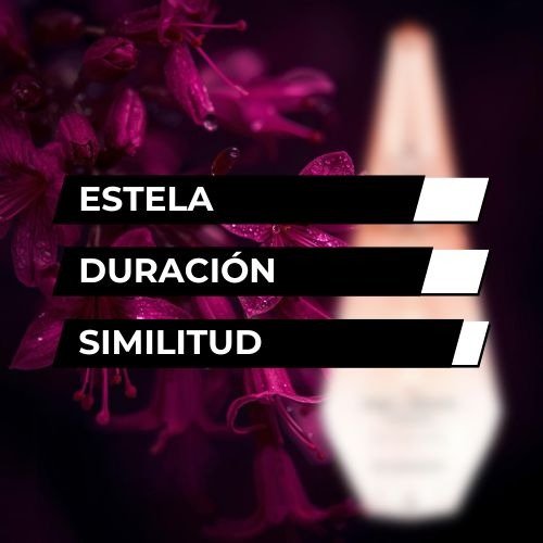 Producto - TIPO ANGE OU DEMON LE SECRET 55ml
