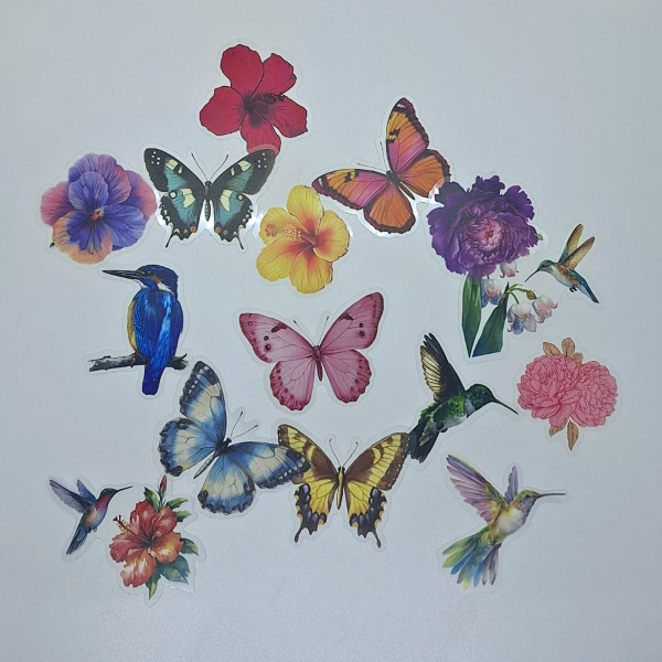Producto - Stickers pet Mariposas y Colibrís