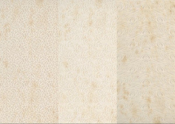 Producto - SAVANNA3