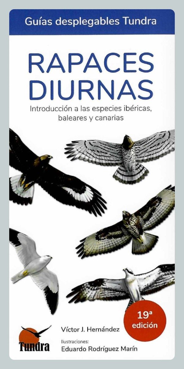 Producto - Hernández: Rapaces Diurnas