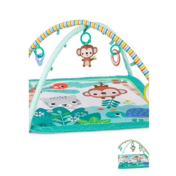 Producto - ACTIVITY GYM PALM PARTY