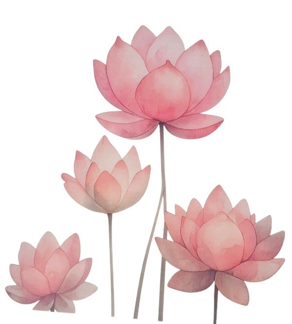 Producto - Flor de loto dtf