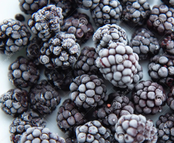 Producto - Fruta congelada x 1kg - Kimelú