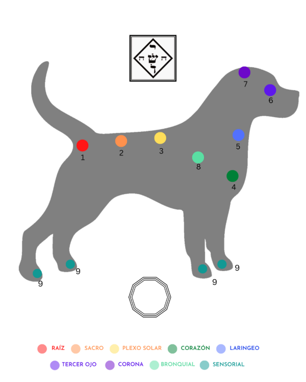 Producto - Manta testigo animales - 3