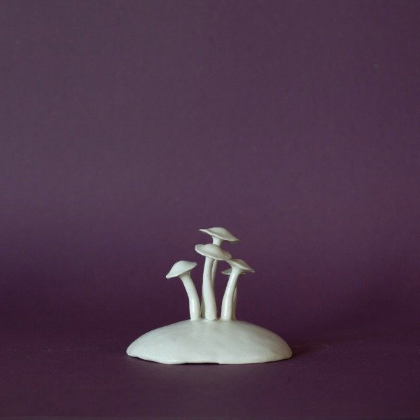 Producto - Honguitos