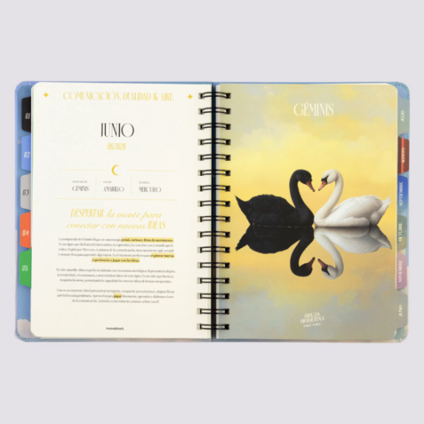 Miniatura de producto - 9