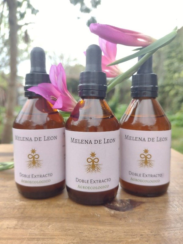 Producto - Melena de León. doble extracto