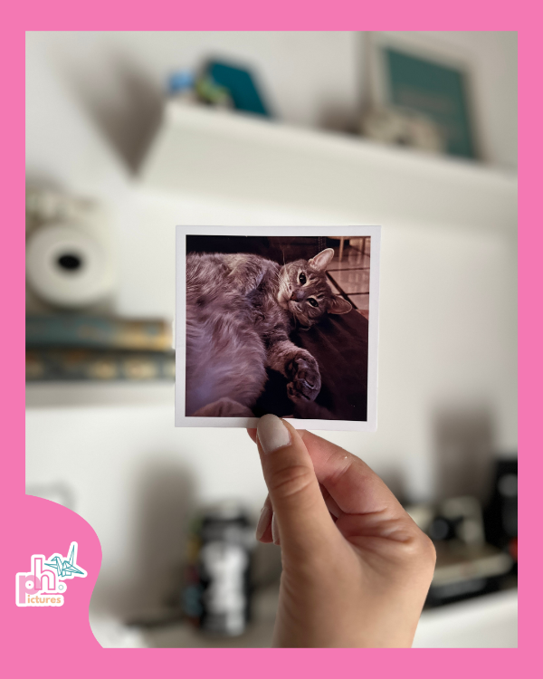 Producto - square - 9 x 9 cm - 1