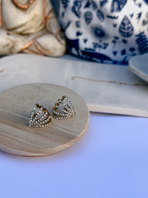 Producto - Aros Shine hoops