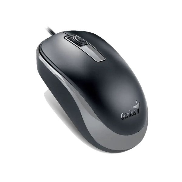 Producto - Mouse Genius usb DX-125S