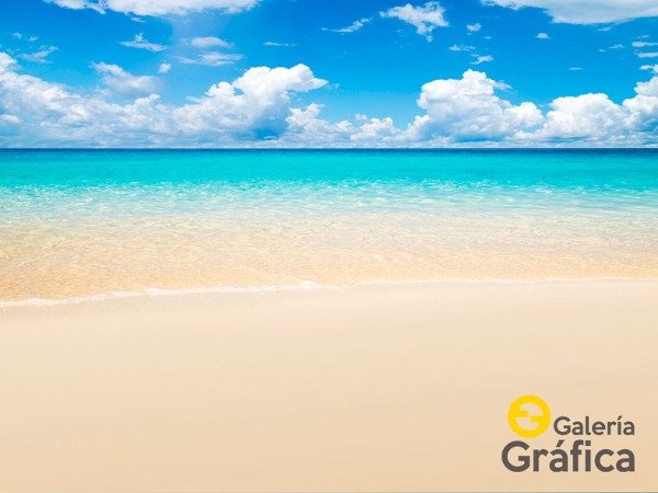 Producto - Mar Playa FS 12