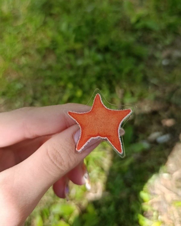 Producto - Pin Estrella Culona