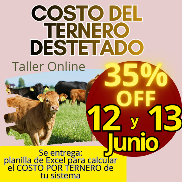 Producto - Taller Online: Costo del Ternero