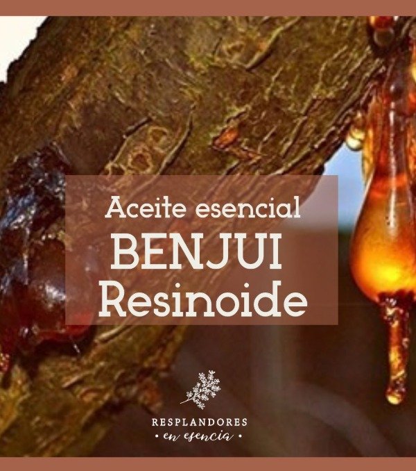 Producto - Aceite esencial Benjui resinoide