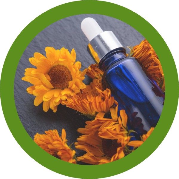 Producto - ARNICA AC. ES. (arnica montana)