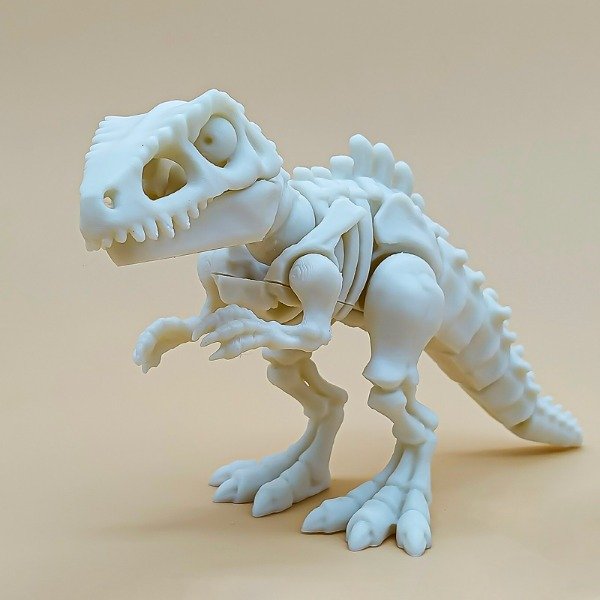 Producto - Esqueleto de Giganotosaurio - 4