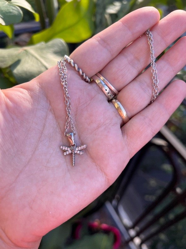 Producto - Collar de acero mini lobelula con stras