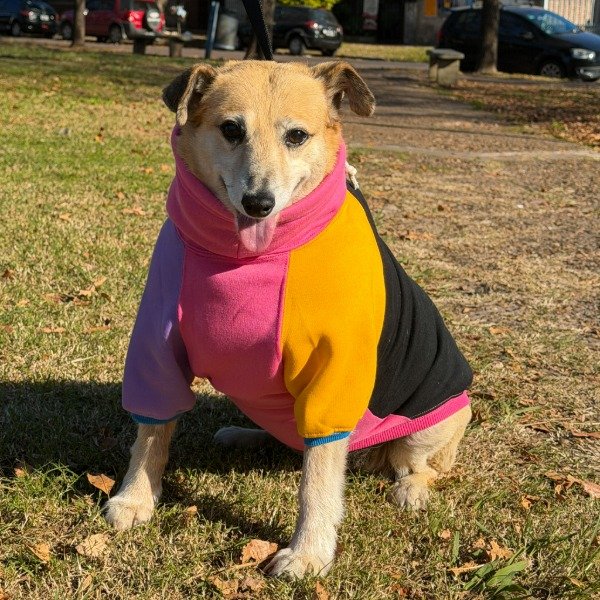 Producto - Buzo Pekin
