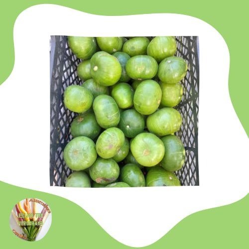 Producto - Zapallitos - 1kg