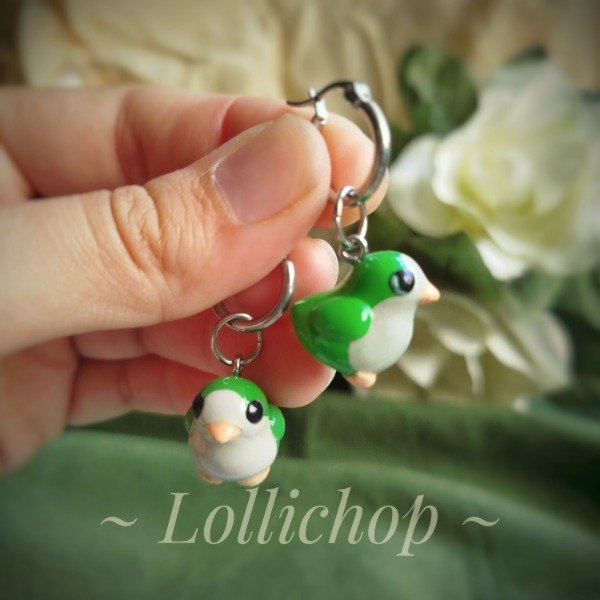 Producto - Aros Cotorras