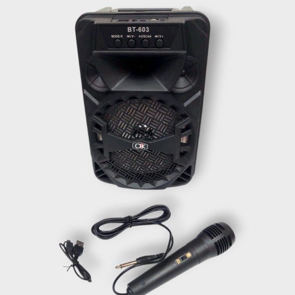 Producto - Parlante 6.5" Wireless con microfono