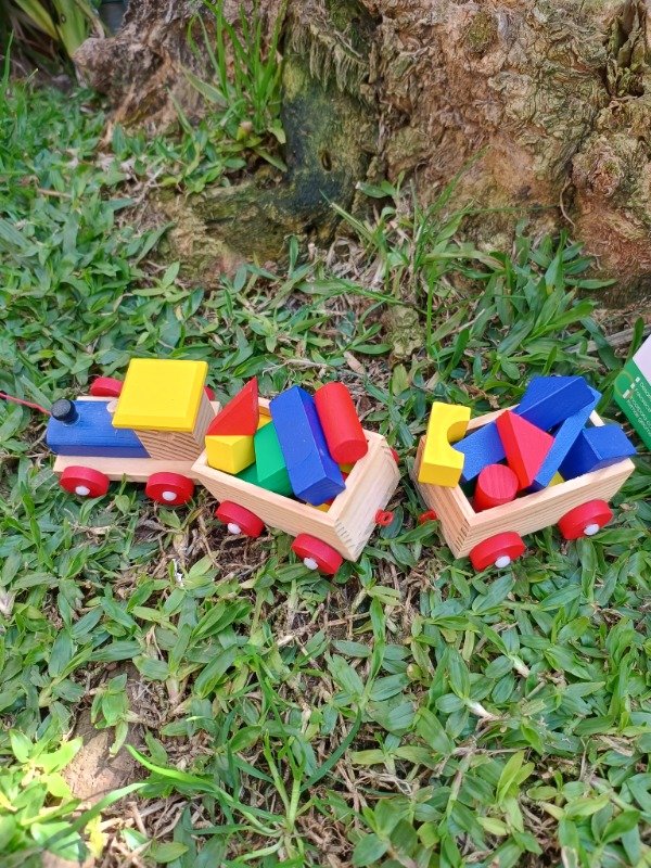 Producto - Trencito de encastre con bloques - 2