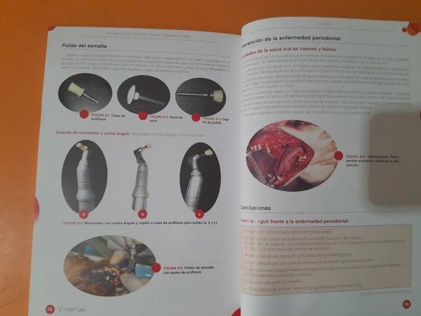 Producto - Amato: Periodoncia en Caninos y Felinos - 1