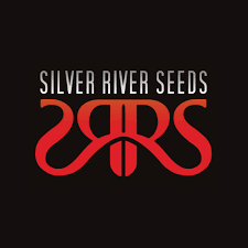 Producto - SILVER RIVER SEEDS - GENETICAS AUTOMATICAS X5