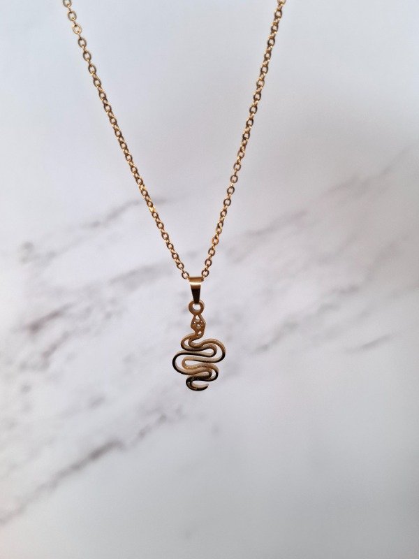 Producto - Conjunto con dije de serpiente en acero dorado.
