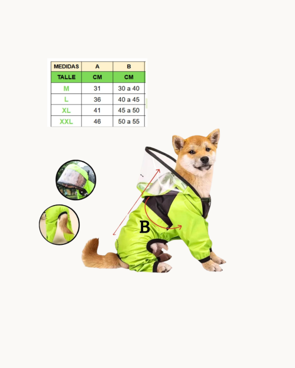 Producto - Piloto para lluvia