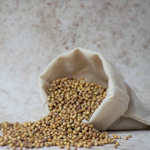 Producto - Coriandro - 40 Gr - Condimentos Catamarca