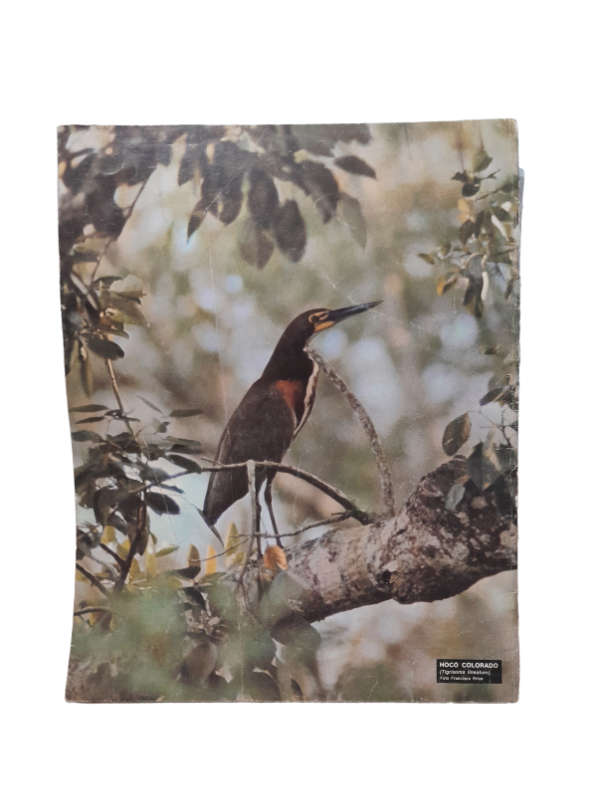 Miniatura de producto - 7