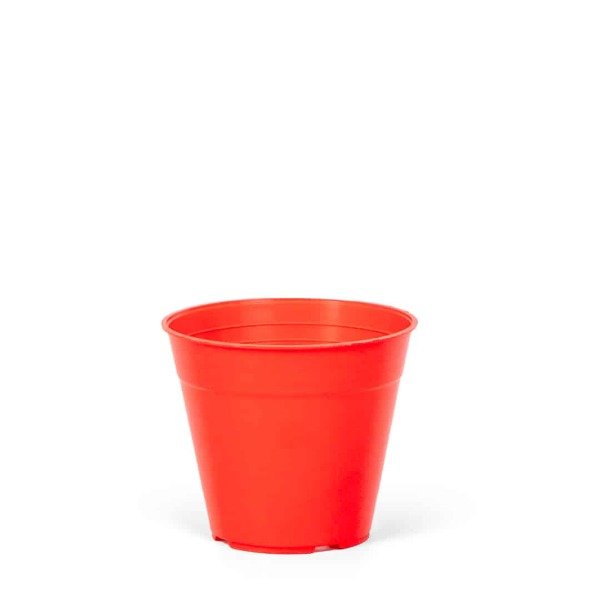 Producto - BERUPLAST CLASICA 8