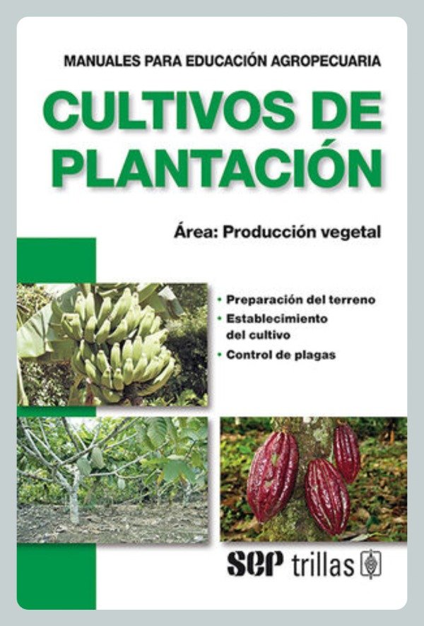 Producto - Cultivos de Plantación - Producción Vegetal