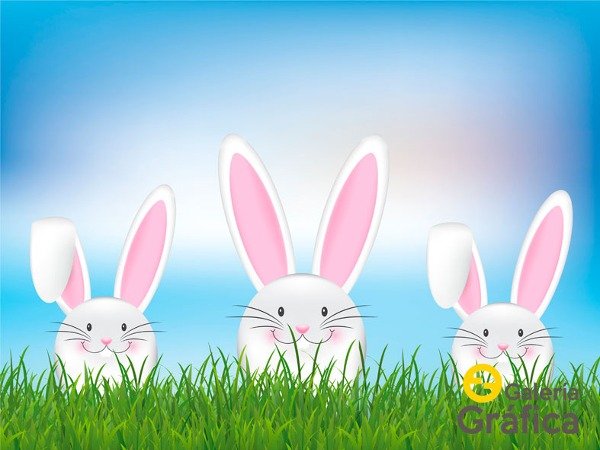 Producto - Pascuas FS 12