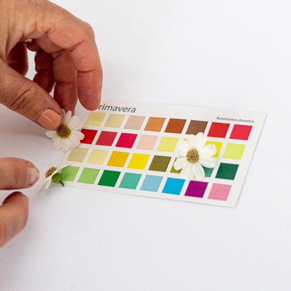 Producto - Paletas de colorimetria digitales