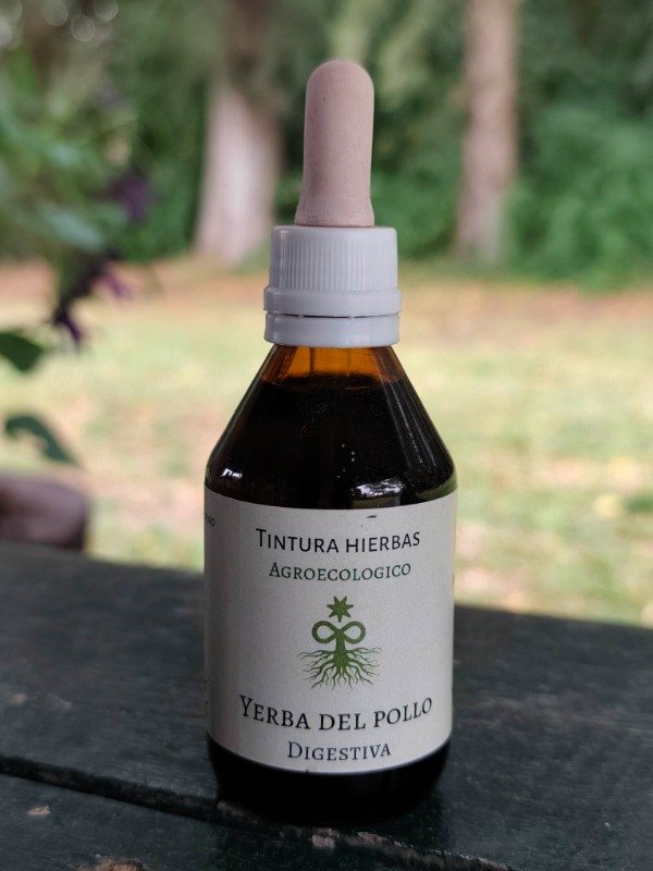 Producto - Tintura madre Yerba de pollo