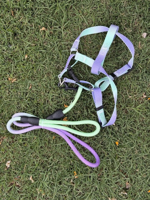 Producto - Pretal pastel con correa