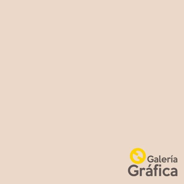 Producto - Lisos FP 06