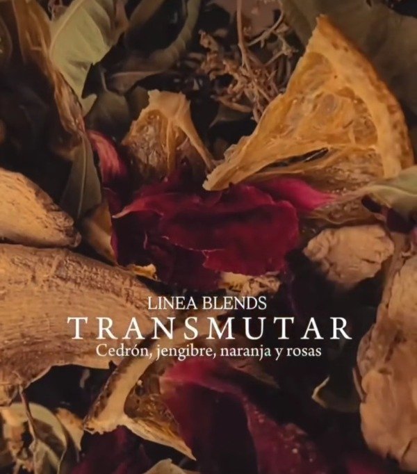 Producto - TRANSMUTAR
