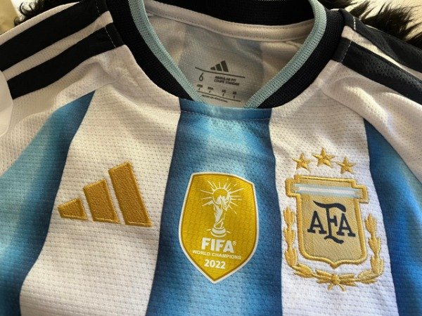 Producto - Camiseta Argentina BORDADA Adultos Personalizada - 4