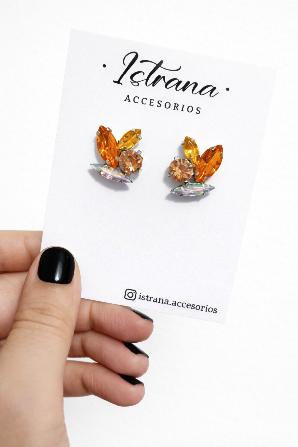 Producto - Aros Braida